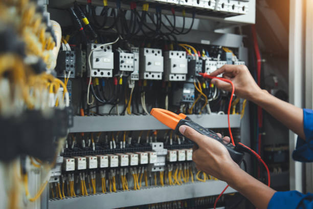 Best Electric Panel Repair  in Raton, NM