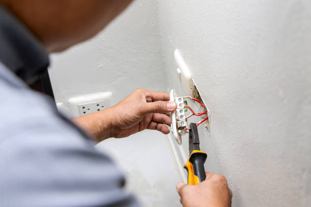 Best Electric Panel Repair  in Raton, NM